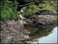 Bifogad bild: norge2010augusti768.jpg